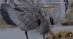 Desktop Screenshot of eyelovebirds.com