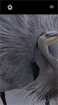 Mobile Screenshot of eyelovebirds.com